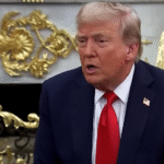 ভারতের ১১১ বিলিয়ন ডলারের অটো ইন্ডাস্ট্রি হুমকির মুখে ট্রাম্পের ট্যারিফ যুদ্ধের কারণে