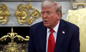 ভারতের ১১১ বিলিয়ন ডলারের অটো ইন্ডাস্ট্রি হুমকির মুখে ট্রাম্পের ট্যারিফ যুদ্ধের কারণে